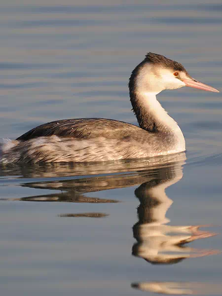 opere-di-ingegneria-ambientale-e-geotecnica-2