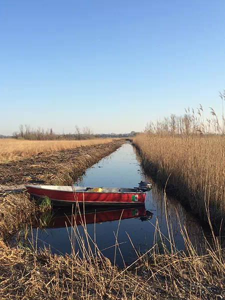pianificazione-risorse-idriche-e-studi-di-impatto-ambientale-2